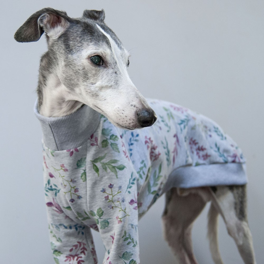 Bluza dresowa z kapturem